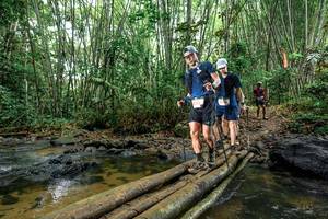 BIB: 
                            <button type="button" onclick="openModal(26502973)" class="btn btn-primary btn-sm float-right btn-popup" data-toggle="modal" data-target=".modal-high-quality">
                        <i class="fas fa-shopping-cart"></i> Add to Cart
                    </button>
                                            <button type="button" onclick="isThisMe(26502973, true)" class="btn btn-success btn-sm float-right btn-popup btn-isme hidden" data-toggle="tooltip" data-placement="bottom" title="นี่คือรูปของคุณใช่ไหม คลิกที่นี่เพื่อเอาเข้าอัลบั้ม">
                        <i class="fas fa-plus"></i> Add to album
                    </button>
                    <button type="button" onclick="isThisMe(26502973, false)" class="btn btn-warning btn-sm float-right btn-popup btn-isnotme hidden">
                        <i class="fas fa-ban"></i> Remove from album
                    </button>