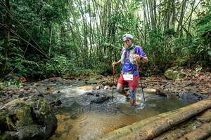 BIB: 
                            <button type="button" onclick="openModal(26444426)" class="btn btn-primary btn-sm float-right btn-popup" data-toggle="modal" data-target=".modal-high-quality">
                        <i class="fas fa-shopping-cart"></i> Add to Cart
                    </button>
                                            <button type="button" onclick="isThisMe(26444426, true)" class="btn btn-success btn-sm float-right btn-popup btn-isme hidden" data-toggle="tooltip" data-placement="bottom" title="นี่คือรูปของคุณใช่ไหม คลิกที่นี่เพื่อเอาเข้าอัลบั้ม">
                        <i class="fas fa-plus"></i> Add to album
                    </button>
                    <button type="button" onclick="isThisMe(26444426, false)" class="btn btn-warning btn-sm float-right btn-popup btn-isnotme hidden">
                        <i class="fas fa-ban"></i> Remove from album
                    </button>