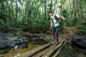 BIB: 
                            <button type="button" onclick="openModal(26428948)" class="btn btn-primary btn-sm float-right btn-popup" data-toggle="modal" data-target=".modal-high-quality">
                        <i class="fas fa-shopping-cart"></i> Add to Cart
                    </button>
                                            <button type="button" onclick="isThisMe(26428948, true)" class="btn btn-success btn-sm float-right btn-popup btn-isme hidden" data-toggle="tooltip" data-placement="bottom" title="นี่คือรูปของคุณใช่ไหม คลิกที่นี่เพื่อเอาเข้าอัลบั้ม">
                        <i class="fas fa-plus"></i> Add to album
                    </button>
                    <button type="button" onclick="isThisMe(26428948, false)" class="btn btn-warning btn-sm float-right btn-popup btn-isnotme hidden">
                        <i class="fas fa-ban"></i> Remove from album
                    </button>