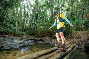 BIB: 
                            <button type="button" onclick="openModal(26502170)" class="btn btn-primary btn-sm float-right btn-popup" data-toggle="modal" data-target=".modal-high-quality">
                        <i class="fas fa-shopping-cart"></i> Add to Cart
                    </button>
                                            <button type="button" onclick="isThisMe(26502170, true)" class="btn btn-success btn-sm float-right btn-popup btn-isme hidden" data-toggle="tooltip" data-placement="bottom" title="นี่คือรูปของคุณใช่ไหม คลิกที่นี่เพื่อเอาเข้าอัลบั้ม">
                        <i class="fas fa-plus"></i> Add to album
                    </button>
                    <button type="button" onclick="isThisMe(26502170, false)" class="btn btn-warning btn-sm float-right btn-popup btn-isnotme hidden">
                        <i class="fas fa-ban"></i> Remove from album
                    </button>