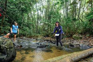 BIB: 
                            <button type="button" onclick="openModal(26459683)" class="btn btn-primary btn-sm float-right btn-popup" data-toggle="modal" data-target=".modal-high-quality">
                        <i class="fas fa-shopping-cart"></i> Add to Cart
                    </button>
                                            <button type="button" onclick="isThisMe(26459683, true)" class="btn btn-success btn-sm float-right btn-popup btn-isme hidden" data-toggle="tooltip" data-placement="bottom" title="นี่คือรูปของคุณใช่ไหม คลิกที่นี่เพื่อเอาเข้าอัลบั้ม">
                        <i class="fas fa-plus"></i> Add to album
                    </button>
                    <button type="button" onclick="isThisMe(26459683, false)" class="btn btn-warning btn-sm float-right btn-popup btn-isnotme hidden">
                        <i class="fas fa-ban"></i> Remove from album
                    </button>