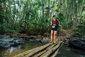 BIB: 
                            <button type="button" onclick="openModal(26478780)" class="btn btn-primary btn-sm float-right btn-popup" data-toggle="modal" data-target=".modal-high-quality">
                        <i class="fas fa-shopping-cart"></i> Add to Cart
                    </button>
                                            <button type="button" onclick="isThisMe(26478780, true)" class="btn btn-success btn-sm float-right btn-popup btn-isme hidden" data-toggle="tooltip" data-placement="bottom" title="นี่คือรูปของคุณใช่ไหม คลิกที่นี่เพื่อเอาเข้าอัลบั้ม">
                        <i class="fas fa-plus"></i> Add to album
                    </button>
                    <button type="button" onclick="isThisMe(26478780, false)" class="btn btn-warning btn-sm float-right btn-popup btn-isnotme hidden">
                        <i class="fas fa-ban"></i> Remove from album
                    </button>