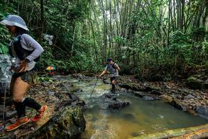 BIB: 
                            <button type="button" onclick="openModal(26496684)" class="btn btn-primary btn-sm float-right btn-popup" data-toggle="modal" data-target=".modal-high-quality">
                        <i class="fas fa-shopping-cart"></i> Add to Cart
                    </button>
                                            <button type="button" onclick="isThisMe(26496684, true)" class="btn btn-success btn-sm float-right btn-popup btn-isme hidden" data-toggle="tooltip" data-placement="bottom" title="นี่คือรูปของคุณใช่ไหม คลิกที่นี่เพื่อเอาเข้าอัลบั้ม">
                        <i class="fas fa-plus"></i> Add to album
                    </button>
                    <button type="button" onclick="isThisMe(26496684, false)" class="btn btn-warning btn-sm float-right btn-popup btn-isnotme hidden">
                        <i class="fas fa-ban"></i> Remove from album
                    </button>