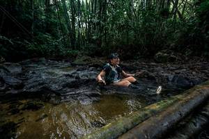 BIB: 
                            <button type="button" onclick="openModal(26431246)" class="btn btn-primary btn-sm float-right btn-popup" data-toggle="modal" data-target=".modal-high-quality">
                        <i class="fas fa-shopping-cart"></i> Add to Cart
                    </button>
                                            <button type="button" onclick="isThisMe(26431246, true)" class="btn btn-success btn-sm float-right btn-popup btn-isme hidden" data-toggle="tooltip" data-placement="bottom" title="นี่คือรูปของคุณใช่ไหม คลิกที่นี่เพื่อเอาเข้าอัลบั้ม">
                        <i class="fas fa-plus"></i> Add to album
                    </button>
                    <button type="button" onclick="isThisMe(26431246, false)" class="btn btn-warning btn-sm float-right btn-popup btn-isnotme hidden">
                        <i class="fas fa-ban"></i> Remove from album
                    </button>