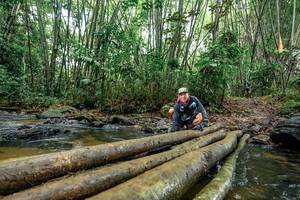 BIB: 
                            <button type="button" onclick="openModal(26462162)" class="btn btn-primary btn-sm float-right btn-popup" data-toggle="modal" data-target=".modal-high-quality">
                        <i class="fas fa-shopping-cart"></i> Add to Cart
                    </button>
                                            <button type="button" onclick="isThisMe(26462162, true)" class="btn btn-success btn-sm float-right btn-popup btn-isme hidden" data-toggle="tooltip" data-placement="bottom" title="นี่คือรูปของคุณใช่ไหม คลิกที่นี่เพื่อเอาเข้าอัลบั้ม">
                        <i class="fas fa-plus"></i> Add to album
                    </button>
                    <button type="button" onclick="isThisMe(26462162, false)" class="btn btn-warning btn-sm float-right btn-popup btn-isnotme hidden">
                        <i class="fas fa-ban"></i> Remove from album
                    </button>