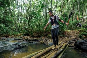 BIB: 
                            <button type="button" onclick="openModal(26466745)" class="btn btn-primary btn-sm float-right btn-popup" data-toggle="modal" data-target=".modal-high-quality">
                        <i class="fas fa-shopping-cart"></i> Add to Cart
                    </button>
                                            <button type="button" onclick="isThisMe(26466745, true)" class="btn btn-success btn-sm float-right btn-popup btn-isme hidden" data-toggle="tooltip" data-placement="bottom" title="นี่คือรูปของคุณใช่ไหม คลิกที่นี่เพื่อเอาเข้าอัลบั้ม">
                        <i class="fas fa-plus"></i> Add to album
                    </button>
                    <button type="button" onclick="isThisMe(26466745, false)" class="btn btn-warning btn-sm float-right btn-popup btn-isnotme hidden">
                        <i class="fas fa-ban"></i> Remove from album
                    </button>