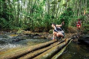 BIB: 
                            <button type="button" onclick="openModal(26503678)" class="btn btn-primary btn-sm float-right btn-popup" data-toggle="modal" data-target=".modal-high-quality">
                        <i class="fas fa-shopping-cart"></i> Add to Cart
                    </button>
                                            <button type="button" onclick="isThisMe(26503678, true)" class="btn btn-success btn-sm float-right btn-popup btn-isme hidden" data-toggle="tooltip" data-placement="bottom" title="นี่คือรูปของคุณใช่ไหม คลิกที่นี่เพื่อเอาเข้าอัลบั้ม">
                        <i class="fas fa-plus"></i> Add to album
                    </button>
                    <button type="button" onclick="isThisMe(26503678, false)" class="btn btn-warning btn-sm float-right btn-popup btn-isnotme hidden">
                        <i class="fas fa-ban"></i> Remove from album
                    </button>