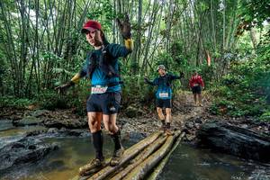 BIB: 
                            <button type="button" onclick="openModal(26495550)" class="btn btn-primary btn-sm float-right btn-popup" data-toggle="modal" data-target=".modal-high-quality">
                        <i class="fas fa-shopping-cart"></i> Add to Cart
                    </button>
                                            <button type="button" onclick="isThisMe(26495550, true)" class="btn btn-success btn-sm float-right btn-popup btn-isme hidden" data-toggle="tooltip" data-placement="bottom" title="นี่คือรูปของคุณใช่ไหม คลิกที่นี่เพื่อเอาเข้าอัลบั้ม">
                        <i class="fas fa-plus"></i> Add to album
                    </button>
                    <button type="button" onclick="isThisMe(26495550, false)" class="btn btn-warning btn-sm float-right btn-popup btn-isnotme hidden">
                        <i class="fas fa-ban"></i> Remove from album
                    </button>