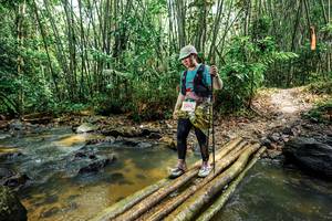 BIB: 
                            <button type="button" onclick="openModal(26496488)" class="btn btn-primary btn-sm float-right btn-popup" data-toggle="modal" data-target=".modal-high-quality">
                        <i class="fas fa-shopping-cart"></i> Add to Cart
                    </button>
                                            <button type="button" onclick="isThisMe(26496488, true)" class="btn btn-success btn-sm float-right btn-popup btn-isme hidden" data-toggle="tooltip" data-placement="bottom" title="นี่คือรูปของคุณใช่ไหม คลิกที่นี่เพื่อเอาเข้าอัลบั้ม">
                        <i class="fas fa-plus"></i> Add to album
                    </button>
                    <button type="button" onclick="isThisMe(26496488, false)" class="btn btn-warning btn-sm float-right btn-popup btn-isnotme hidden">
                        <i class="fas fa-ban"></i> Remove from album
                    </button>