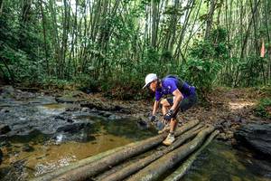 BIB: 
                            <button type="button" onclick="openModal(26441992)" class="btn btn-primary btn-sm float-right btn-popup" data-toggle="modal" data-target=".modal-high-quality">
                        <i class="fas fa-shopping-cart"></i> Add to Cart
                    </button>
                                            <button type="button" onclick="isThisMe(26441992, true)" class="btn btn-success btn-sm float-right btn-popup btn-isme hidden" data-toggle="tooltip" data-placement="bottom" title="นี่คือรูปของคุณใช่ไหม คลิกที่นี่เพื่อเอาเข้าอัลบั้ม">
                        <i class="fas fa-plus"></i> Add to album
                    </button>
                    <button type="button" onclick="isThisMe(26441992, false)" class="btn btn-warning btn-sm float-right btn-popup btn-isnotme hidden">
                        <i class="fas fa-ban"></i> Remove from album
                    </button>