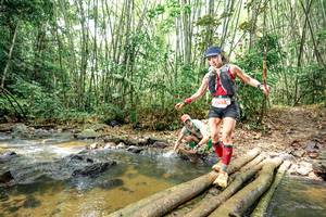 BIB: 
                            <button type="button" onclick="openModal(26450016)" class="btn btn-primary btn-sm float-right btn-popup" data-toggle="modal" data-target=".modal-high-quality">
                        <i class="fas fa-shopping-cart"></i> Add to Cart
                    </button>
                                            <button type="button" onclick="isThisMe(26450016, true)" class="btn btn-success btn-sm float-right btn-popup btn-isme hidden" data-toggle="tooltip" data-placement="bottom" title="นี่คือรูปของคุณใช่ไหม คลิกที่นี่เพื่อเอาเข้าอัลบั้ม">
                        <i class="fas fa-plus"></i> Add to album
                    </button>
                    <button type="button" onclick="isThisMe(26450016, false)" class="btn btn-warning btn-sm float-right btn-popup btn-isnotme hidden">
                        <i class="fas fa-ban"></i> Remove from album
                    </button>