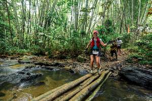 BIB: 
                            <button type="button" onclick="openModal(26447750)" class="btn btn-primary btn-sm float-right btn-popup" data-toggle="modal" data-target=".modal-high-quality">
                        <i class="fas fa-shopping-cart"></i> Add to Cart
                    </button>
                                            <button type="button" onclick="isThisMe(26447750, true)" class="btn btn-success btn-sm float-right btn-popup btn-isme hidden" data-toggle="tooltip" data-placement="bottom" title="นี่คือรูปของคุณใช่ไหม คลิกที่นี่เพื่อเอาเข้าอัลบั้ม">
                        <i class="fas fa-plus"></i> Add to album
                    </button>
                    <button type="button" onclick="isThisMe(26447750, false)" class="btn btn-warning btn-sm float-right btn-popup btn-isnotme hidden">
                        <i class="fas fa-ban"></i> Remove from album
                    </button>