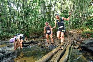 BIB: 
                            <button type="button" onclick="openModal(26438191)" class="btn btn-primary btn-sm float-right btn-popup" data-toggle="modal" data-target=".modal-high-quality">
                        <i class="fas fa-shopping-cart"></i> Add to Cart
                    </button>
                                            <button type="button" onclick="isThisMe(26438191, true)" class="btn btn-success btn-sm float-right btn-popup btn-isme hidden" data-toggle="tooltip" data-placement="bottom" title="นี่คือรูปของคุณใช่ไหม คลิกที่นี่เพื่อเอาเข้าอัลบั้ม">
                        <i class="fas fa-plus"></i> Add to album
                    </button>
                    <button type="button" onclick="isThisMe(26438191, false)" class="btn btn-warning btn-sm float-right btn-popup btn-isnotme hidden">
                        <i class="fas fa-ban"></i> Remove from album
                    </button>