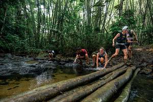 BIB: 
                            <button type="button" onclick="openModal(26437515)" class="btn btn-primary btn-sm float-right btn-popup" data-toggle="modal" data-target=".modal-high-quality">
                        <i class="fas fa-shopping-cart"></i> Add to Cart
                    </button>
                                            <button type="button" onclick="isThisMe(26437515, true)" class="btn btn-success btn-sm float-right btn-popup btn-isme hidden" data-toggle="tooltip" data-placement="bottom" title="นี่คือรูปของคุณใช่ไหม คลิกที่นี่เพื่อเอาเข้าอัลบั้ม">
                        <i class="fas fa-plus"></i> Add to album
                    </button>
                    <button type="button" onclick="isThisMe(26437515, false)" class="btn btn-warning btn-sm float-right btn-popup btn-isnotme hidden">
                        <i class="fas fa-ban"></i> Remove from album
                    </button>