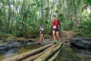 BIB: 
                            <button type="button" onclick="openModal(26500785)" class="btn btn-primary btn-sm float-right btn-popup" data-toggle="modal" data-target=".modal-high-quality">
                        <i class="fas fa-shopping-cart"></i> Add to Cart
                    </button>
                                            <button type="button" onclick="isThisMe(26500785, true)" class="btn btn-success btn-sm float-right btn-popup btn-isme hidden" data-toggle="tooltip" data-placement="bottom" title="นี่คือรูปของคุณใช่ไหม คลิกที่นี่เพื่อเอาเข้าอัลบั้ม">
                        <i class="fas fa-plus"></i> Add to album
                    </button>
                    <button type="button" onclick="isThisMe(26500785, false)" class="btn btn-warning btn-sm float-right btn-popup btn-isnotme hidden">
                        <i class="fas fa-ban"></i> Remove from album
                    </button>