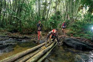 BIB: 
                            <button type="button" onclick="openModal(26445198)" class="btn btn-primary btn-sm float-right btn-popup" data-toggle="modal" data-target=".modal-high-quality">
                        <i class="fas fa-shopping-cart"></i> Add to Cart
                    </button>
                                            <button type="button" onclick="isThisMe(26445198, true)" class="btn btn-success btn-sm float-right btn-popup btn-isme hidden" data-toggle="tooltip" data-placement="bottom" title="นี่คือรูปของคุณใช่ไหม คลิกที่นี่เพื่อเอาเข้าอัลบั้ม">
                        <i class="fas fa-plus"></i> Add to album
                    </button>
                    <button type="button" onclick="isThisMe(26445198, false)" class="btn btn-warning btn-sm float-right btn-popup btn-isnotme hidden">
                        <i class="fas fa-ban"></i> Remove from album
                    </button>