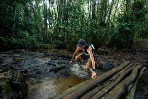 BIB: 
                            <button type="button" onclick="openModal(26434452)" class="btn btn-primary btn-sm float-right btn-popup" data-toggle="modal" data-target=".modal-high-quality">
                        <i class="fas fa-shopping-cart"></i> Add to Cart
                    </button>
                                            <button type="button" onclick="isThisMe(26434452, true)" class="btn btn-success btn-sm float-right btn-popup btn-isme hidden" data-toggle="tooltip" data-placement="bottom" title="นี่คือรูปของคุณใช่ไหม คลิกที่นี่เพื่อเอาเข้าอัลบั้ม">
                        <i class="fas fa-plus"></i> Add to album
                    </button>
                    <button type="button" onclick="isThisMe(26434452, false)" class="btn btn-warning btn-sm float-right btn-popup btn-isnotme hidden">
                        <i class="fas fa-ban"></i> Remove from album
                    </button>