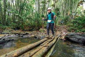 BIB: 
                            <button type="button" onclick="openModal(26444630)" class="btn btn-primary btn-sm float-right btn-popup" data-toggle="modal" data-target=".modal-high-quality">
                        <i class="fas fa-shopping-cart"></i> Add to Cart
                    </button>
                                            <button type="button" onclick="isThisMe(26444630, true)" class="btn btn-success btn-sm float-right btn-popup btn-isme hidden" data-toggle="tooltip" data-placement="bottom" title="นี่คือรูปของคุณใช่ไหม คลิกที่นี่เพื่อเอาเข้าอัลบั้ม">
                        <i class="fas fa-plus"></i> Add to album
                    </button>
                    <button type="button" onclick="isThisMe(26444630, false)" class="btn btn-warning btn-sm float-right btn-popup btn-isnotme hidden">
                        <i class="fas fa-ban"></i> Remove from album
                    </button>