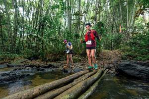 BIB: 
                            <button type="button" onclick="openModal(26500791)" class="btn btn-primary btn-sm float-right btn-popup" data-toggle="modal" data-target=".modal-high-quality">
                        <i class="fas fa-shopping-cart"></i> Add to Cart
                    </button>
                                            <button type="button" onclick="isThisMe(26500791, true)" class="btn btn-success btn-sm float-right btn-popup btn-isme hidden" data-toggle="tooltip" data-placement="bottom" title="นี่คือรูปของคุณใช่ไหม คลิกที่นี่เพื่อเอาเข้าอัลบั้ม">
                        <i class="fas fa-plus"></i> Add to album
                    </button>
                    <button type="button" onclick="isThisMe(26500791, false)" class="btn btn-warning btn-sm float-right btn-popup btn-isnotme hidden">
                        <i class="fas fa-ban"></i> Remove from album
                    </button>