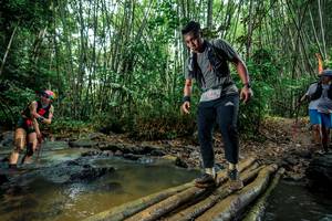 BIB: 
                            <button type="button" onclick="openModal(26487108)" class="btn btn-primary btn-sm float-right btn-popup" data-toggle="modal" data-target=".modal-high-quality">
                        <i class="fas fa-shopping-cart"></i> Add to Cart
                    </button>
                                            <button type="button" onclick="isThisMe(26487108, true)" class="btn btn-success btn-sm float-right btn-popup btn-isme hidden" data-toggle="tooltip" data-placement="bottom" title="นี่คือรูปของคุณใช่ไหม คลิกที่นี่เพื่อเอาเข้าอัลบั้ม">
                        <i class="fas fa-plus"></i> Add to album
                    </button>
                    <button type="button" onclick="isThisMe(26487108, false)" class="btn btn-warning btn-sm float-right btn-popup btn-isnotme hidden">
                        <i class="fas fa-ban"></i> Remove from album
                    </button>