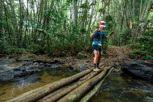 BIB: 
                            <button type="button" onclick="openModal(26500706)" class="btn btn-primary btn-sm float-right btn-popup" data-toggle="modal" data-target=".modal-high-quality">
                        <i class="fas fa-shopping-cart"></i> Add to Cart
                    </button>
                                            <button type="button" onclick="isThisMe(26500706, true)" class="btn btn-success btn-sm float-right btn-popup btn-isme hidden" data-toggle="tooltip" data-placement="bottom" title="นี่คือรูปของคุณใช่ไหม คลิกที่นี่เพื่อเอาเข้าอัลบั้ม">
                        <i class="fas fa-plus"></i> Add to album
                    </button>
                    <button type="button" onclick="isThisMe(26500706, false)" class="btn btn-warning btn-sm float-right btn-popup btn-isnotme hidden">
                        <i class="fas fa-ban"></i> Remove from album
                    </button>