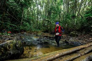 BIB: 
                            <button type="button" onclick="openModal(26504733)" class="btn btn-primary btn-sm float-right btn-popup" data-toggle="modal" data-target=".modal-high-quality">
                        <i class="fas fa-shopping-cart"></i> Add to Cart
                    </button>
                                            <button type="button" onclick="isThisMe(26504733, true)" class="btn btn-success btn-sm float-right btn-popup btn-isme hidden" data-toggle="tooltip" data-placement="bottom" title="นี่คือรูปของคุณใช่ไหม คลิกที่นี่เพื่อเอาเข้าอัลบั้ม">
                        <i class="fas fa-plus"></i> Add to album
                    </button>
                    <button type="button" onclick="isThisMe(26504733, false)" class="btn btn-warning btn-sm float-right btn-popup btn-isnotme hidden">
                        <i class="fas fa-ban"></i> Remove from album
                    </button>