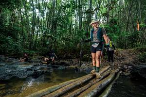 BIB: 
                            <button type="button" onclick="openModal(26489619)" class="btn btn-primary btn-sm float-right btn-popup" data-toggle="modal" data-target=".modal-high-quality">
                        <i class="fas fa-shopping-cart"></i> Add to Cart
                    </button>
                                            <button type="button" onclick="isThisMe(26489619, true)" class="btn btn-success btn-sm float-right btn-popup btn-isme hidden" data-toggle="tooltip" data-placement="bottom" title="นี่คือรูปของคุณใช่ไหม คลิกที่นี่เพื่อเอาเข้าอัลบั้ม">
                        <i class="fas fa-plus"></i> Add to album
                    </button>
                    <button type="button" onclick="isThisMe(26489619, false)" class="btn btn-warning btn-sm float-right btn-popup btn-isnotme hidden">
                        <i class="fas fa-ban"></i> Remove from album
                    </button>