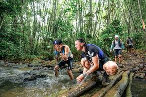 BIB: 
                            <button type="button" onclick="openModal(26432748)" class="btn btn-primary btn-sm float-right btn-popup" data-toggle="modal" data-target=".modal-high-quality">
                        <i class="fas fa-shopping-cart"></i> Add to Cart
                    </button>
                                            <button type="button" onclick="isThisMe(26432748, true)" class="btn btn-success btn-sm float-right btn-popup btn-isme hidden" data-toggle="tooltip" data-placement="bottom" title="นี่คือรูปของคุณใช่ไหม คลิกที่นี่เพื่อเอาเข้าอัลบั้ม">
                        <i class="fas fa-plus"></i> Add to album
                    </button>
                    <button type="button" onclick="isThisMe(26432748, false)" class="btn btn-warning btn-sm float-right btn-popup btn-isnotme hidden">
                        <i class="fas fa-ban"></i> Remove from album
                    </button>