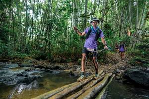 BIB: 
                            <button type="button" onclick="openModal(26476865)" class="btn btn-primary btn-sm float-right btn-popup" data-toggle="modal" data-target=".modal-high-quality">
                        <i class="fas fa-shopping-cart"></i> Add to Cart
                    </button>
                                            <button type="button" onclick="isThisMe(26476865, true)" class="btn btn-success btn-sm float-right btn-popup btn-isme hidden" data-toggle="tooltip" data-placement="bottom" title="นี่คือรูปของคุณใช่ไหม คลิกที่นี่เพื่อเอาเข้าอัลบั้ม">
                        <i class="fas fa-plus"></i> Add to album
                    </button>
                    <button type="button" onclick="isThisMe(26476865, false)" class="btn btn-warning btn-sm float-right btn-popup btn-isnotme hidden">
                        <i class="fas fa-ban"></i> Remove from album
                    </button>