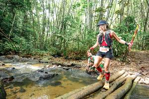 BIB: 
                            <button type="button" onclick="openModal(26450161)" class="btn btn-primary btn-sm float-right btn-popup" data-toggle="modal" data-target=".modal-high-quality">
                        <i class="fas fa-shopping-cart"></i> Add to Cart
                    </button>
                                            <button type="button" onclick="isThisMe(26450161, true)" class="btn btn-success btn-sm float-right btn-popup btn-isme hidden" data-toggle="tooltip" data-placement="bottom" title="นี่คือรูปของคุณใช่ไหม คลิกที่นี่เพื่อเอาเข้าอัลบั้ม">
                        <i class="fas fa-plus"></i> Add to album
                    </button>
                    <button type="button" onclick="isThisMe(26450161, false)" class="btn btn-warning btn-sm float-right btn-popup btn-isnotme hidden">
                        <i class="fas fa-ban"></i> Remove from album
                    </button>