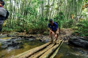 BIB: 
                            <button type="button" onclick="openModal(26457880)" class="btn btn-primary btn-sm float-right btn-popup" data-toggle="modal" data-target=".modal-high-quality">
                        <i class="fas fa-shopping-cart"></i> Add to Cart
                    </button>
                                            <button type="button" onclick="isThisMe(26457880, true)" class="btn btn-success btn-sm float-right btn-popup btn-isme hidden" data-toggle="tooltip" data-placement="bottom" title="นี่คือรูปของคุณใช่ไหม คลิกที่นี่เพื่อเอาเข้าอัลบั้ม">
                        <i class="fas fa-plus"></i> Add to album
                    </button>
                    <button type="button" onclick="isThisMe(26457880, false)" class="btn btn-warning btn-sm float-right btn-popup btn-isnotme hidden">
                        <i class="fas fa-ban"></i> Remove from album
                    </button>