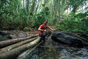 BIB: 
                            <button type="button" onclick="openModal(26425009)" class="btn btn-primary btn-sm float-right btn-popup" data-toggle="modal" data-target=".modal-high-quality">
                        <i class="fas fa-shopping-cart"></i> Add to Cart
                    </button>
                                            <button type="button" onclick="isThisMe(26425009, true)" class="btn btn-success btn-sm float-right btn-popup btn-isme hidden" data-toggle="tooltip" data-placement="bottom" title="นี่คือรูปของคุณใช่ไหม คลิกที่นี่เพื่อเอาเข้าอัลบั้ม">
                        <i class="fas fa-plus"></i> Add to album
                    </button>
                    <button type="button" onclick="isThisMe(26425009, false)" class="btn btn-warning btn-sm float-right btn-popup btn-isnotme hidden">
                        <i class="fas fa-ban"></i> Remove from album
                    </button>