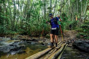 BIB: 
                            <button type="button" onclick="openModal(26455995)" class="btn btn-primary btn-sm float-right btn-popup" data-toggle="modal" data-target=".modal-high-quality">
                        <i class="fas fa-shopping-cart"></i> Add to Cart
                    </button>
                                            <button type="button" onclick="isThisMe(26455995, true)" class="btn btn-success btn-sm float-right btn-popup btn-isme hidden" data-toggle="tooltip" data-placement="bottom" title="นี่คือรูปของคุณใช่ไหม คลิกที่นี่เพื่อเอาเข้าอัลบั้ม">
                        <i class="fas fa-plus"></i> Add to album
                    </button>
                    <button type="button" onclick="isThisMe(26455995, false)" class="btn btn-warning btn-sm float-right btn-popup btn-isnotme hidden">
                        <i class="fas fa-ban"></i> Remove from album
                    </button>