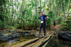 BIB: 
                            <button type="button" onclick="openModal(26503316)" class="btn btn-primary btn-sm float-right btn-popup" data-toggle="modal" data-target=".modal-high-quality">
                        <i class="fas fa-shopping-cart"></i> Add to Cart
                    </button>
                                            <button type="button" onclick="isThisMe(26503316, true)" class="btn btn-success btn-sm float-right btn-popup btn-isme hidden" data-toggle="tooltip" data-placement="bottom" title="นี่คือรูปของคุณใช่ไหม คลิกที่นี่เพื่อเอาเข้าอัลบั้ม">
                        <i class="fas fa-plus"></i> Add to album
                    </button>
                    <button type="button" onclick="isThisMe(26503316, false)" class="btn btn-warning btn-sm float-right btn-popup btn-isnotme hidden">
                        <i class="fas fa-ban"></i> Remove from album
                    </button>