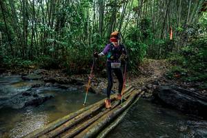 BIB: 
                            <button type="button" onclick="openModal(26495154)" class="btn btn-primary btn-sm float-right btn-popup" data-toggle="modal" data-target=".modal-high-quality">
                        <i class="fas fa-shopping-cart"></i> Add to Cart
                    </button>
                                            <button type="button" onclick="isThisMe(26495154, true)" class="btn btn-success btn-sm float-right btn-popup btn-isme hidden" data-toggle="tooltip" data-placement="bottom" title="นี่คือรูปของคุณใช่ไหม คลิกที่นี่เพื่อเอาเข้าอัลบั้ม">
                        <i class="fas fa-plus"></i> Add to album
                    </button>
                    <button type="button" onclick="isThisMe(26495154, false)" class="btn btn-warning btn-sm float-right btn-popup btn-isnotme hidden">
                        <i class="fas fa-ban"></i> Remove from album
                    </button>