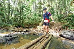 BIB: 
                            <button type="button" onclick="openModal(26449656)" class="btn btn-primary btn-sm float-right btn-popup" data-toggle="modal" data-target=".modal-high-quality">
                        <i class="fas fa-shopping-cart"></i> Add to Cart
                    </button>
                                            <button type="button" onclick="isThisMe(26449656, true)" class="btn btn-success btn-sm float-right btn-popup btn-isme hidden" data-toggle="tooltip" data-placement="bottom" title="นี่คือรูปของคุณใช่ไหม คลิกที่นี่เพื่อเอาเข้าอัลบั้ม">
                        <i class="fas fa-plus"></i> Add to album
                    </button>
                    <button type="button" onclick="isThisMe(26449656, false)" class="btn btn-warning btn-sm float-right btn-popup btn-isnotme hidden">
                        <i class="fas fa-ban"></i> Remove from album
                    </button>