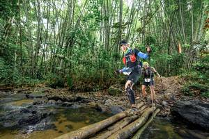 BIB: 
                            <button type="button" onclick="openModal(26502835)" class="btn btn-primary btn-sm float-right btn-popup" data-toggle="modal" data-target=".modal-high-quality">
                        <i class="fas fa-shopping-cart"></i> Add to Cart
                    </button>
                                            <button type="button" onclick="isThisMe(26502835, true)" class="btn btn-success btn-sm float-right btn-popup btn-isme hidden" data-toggle="tooltip" data-placement="bottom" title="นี่คือรูปของคุณใช่ไหม คลิกที่นี่เพื่อเอาเข้าอัลบั้ม">
                        <i class="fas fa-plus"></i> Add to album
                    </button>
                    <button type="button" onclick="isThisMe(26502835, false)" class="btn btn-warning btn-sm float-right btn-popup btn-isnotme hidden">
                        <i class="fas fa-ban"></i> Remove from album
                    </button>