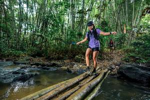 BIB: 
                            <button type="button" onclick="openModal(26478402)" class="btn btn-primary btn-sm float-right btn-popup" data-toggle="modal" data-target=".modal-high-quality">
                        <i class="fas fa-shopping-cart"></i> Add to Cart
                    </button>
                                            <button type="button" onclick="isThisMe(26478402, true)" class="btn btn-success btn-sm float-right btn-popup btn-isme hidden" data-toggle="tooltip" data-placement="bottom" title="นี่คือรูปของคุณใช่ไหม คลิกที่นี่เพื่อเอาเข้าอัลบั้ม">
                        <i class="fas fa-plus"></i> Add to album
                    </button>
                    <button type="button" onclick="isThisMe(26478402, false)" class="btn btn-warning btn-sm float-right btn-popup btn-isnotme hidden">
                        <i class="fas fa-ban"></i> Remove from album
                    </button>