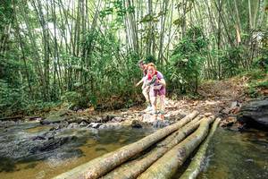 BIB: 
                            <button type="button" onclick="openModal(26439445)" class="btn btn-primary btn-sm float-right btn-popup" data-toggle="modal" data-target=".modal-high-quality">
                        <i class="fas fa-shopping-cart"></i> Add to Cart
                    </button>
                                            <button type="button" onclick="isThisMe(26439445, true)" class="btn btn-success btn-sm float-right btn-popup btn-isme hidden" data-toggle="tooltip" data-placement="bottom" title="นี่คือรูปของคุณใช่ไหม คลิกที่นี่เพื่อเอาเข้าอัลบั้ม">
                        <i class="fas fa-plus"></i> Add to album
                    </button>
                    <button type="button" onclick="isThisMe(26439445, false)" class="btn btn-warning btn-sm float-right btn-popup btn-isnotme hidden">
                        <i class="fas fa-ban"></i> Remove from album
                    </button>