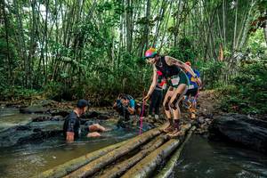 BIB: 
                            <button type="button" onclick="openModal(26486310)" class="btn btn-primary btn-sm float-right btn-popup" data-toggle="modal" data-target=".modal-high-quality">
                        <i class="fas fa-shopping-cart"></i> Add to Cart
                    </button>
                                            <button type="button" onclick="isThisMe(26486310, true)" class="btn btn-success btn-sm float-right btn-popup btn-isme hidden" data-toggle="tooltip" data-placement="bottom" title="นี่คือรูปของคุณใช่ไหม คลิกที่นี่เพื่อเอาเข้าอัลบั้ม">
                        <i class="fas fa-plus"></i> Add to album
                    </button>
                    <button type="button" onclick="isThisMe(26486310, false)" class="btn btn-warning btn-sm float-right btn-popup btn-isnotme hidden">
                        <i class="fas fa-ban"></i> Remove from album
                    </button>