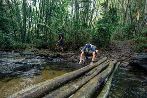 BIB: 
                            <button type="button" onclick="openModal(26432003)" class="btn btn-primary btn-sm float-right btn-popup" data-toggle="modal" data-target=".modal-high-quality">
                        <i class="fas fa-shopping-cart"></i> Add to Cart
                    </button>
                                            <button type="button" onclick="isThisMe(26432003, true)" class="btn btn-success btn-sm float-right btn-popup btn-isme hidden" data-toggle="tooltip" data-placement="bottom" title="นี่คือรูปของคุณใช่ไหม คลิกที่นี่เพื่อเอาเข้าอัลบั้ม">
                        <i class="fas fa-plus"></i> Add to album
                    </button>
                    <button type="button" onclick="isThisMe(26432003, false)" class="btn btn-warning btn-sm float-right btn-popup btn-isnotme hidden">
                        <i class="fas fa-ban"></i> Remove from album
                    </button>