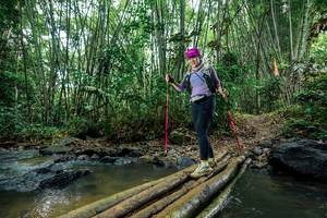 BIB: 
                            <button type="button" onclick="openModal(26488974)" class="btn btn-primary btn-sm float-right btn-popup" data-toggle="modal" data-target=".modal-high-quality">
                        <i class="fas fa-shopping-cart"></i> Add to Cart
                    </button>
                                            <button type="button" onclick="isThisMe(26488974, true)" class="btn btn-success btn-sm float-right btn-popup btn-isme hidden" data-toggle="tooltip" data-placement="bottom" title="นี่คือรูปของคุณใช่ไหม คลิกที่นี่เพื่อเอาเข้าอัลบั้ม">
                        <i class="fas fa-plus"></i> Add to album
                    </button>
                    <button type="button" onclick="isThisMe(26488974, false)" class="btn btn-warning btn-sm float-right btn-popup btn-isnotme hidden">
                        <i class="fas fa-ban"></i> Remove from album
                    </button>