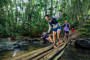 BIB: 
                            <button type="button" onclick="openModal(26490375)" class="btn btn-primary btn-sm float-right btn-popup" data-toggle="modal" data-target=".modal-high-quality">
                        <i class="fas fa-shopping-cart"></i> Add to Cart
                    </button>
                                            <button type="button" onclick="isThisMe(26490375, true)" class="btn btn-success btn-sm float-right btn-popup btn-isme hidden" data-toggle="tooltip" data-placement="bottom" title="นี่คือรูปของคุณใช่ไหม คลิกที่นี่เพื่อเอาเข้าอัลบั้ม">
                        <i class="fas fa-plus"></i> Add to album
                    </button>
                    <button type="button" onclick="isThisMe(26490375, false)" class="btn btn-warning btn-sm float-right btn-popup btn-isnotme hidden">
                        <i class="fas fa-ban"></i> Remove from album
                    </button>