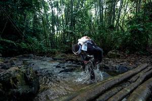 BIB: 
                            <button type="button" onclick="openModal(26427575)" class="btn btn-primary btn-sm float-right btn-popup" data-toggle="modal" data-target=".modal-high-quality">
                        <i class="fas fa-shopping-cart"></i> Add to Cart
                    </button>
                                            <button type="button" onclick="isThisMe(26427575, true)" class="btn btn-success btn-sm float-right btn-popup btn-isme hidden" data-toggle="tooltip" data-placement="bottom" title="นี่คือรูปของคุณใช่ไหม คลิกที่นี่เพื่อเอาเข้าอัลบั้ม">
                        <i class="fas fa-plus"></i> Add to album
                    </button>
                    <button type="button" onclick="isThisMe(26427575, false)" class="btn btn-warning btn-sm float-right btn-popup btn-isnotme hidden">
                        <i class="fas fa-ban"></i> Remove from album
                    </button>