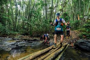 BIB: 
                            <button type="button" onclick="openModal(26464147)" class="btn btn-primary btn-sm float-right btn-popup" data-toggle="modal" data-target=".modal-high-quality">
                        <i class="fas fa-shopping-cart"></i> Add to Cart
                    </button>
                                            <button type="button" onclick="isThisMe(26464147, true)" class="btn btn-success btn-sm float-right btn-popup btn-isme hidden" data-toggle="tooltip" data-placement="bottom" title="นี่คือรูปของคุณใช่ไหม คลิกที่นี่เพื่อเอาเข้าอัลบั้ม">
                        <i class="fas fa-plus"></i> Add to album
                    </button>
                    <button type="button" onclick="isThisMe(26464147, false)" class="btn btn-warning btn-sm float-right btn-popup btn-isnotme hidden">
                        <i class="fas fa-ban"></i> Remove from album
                    </button>