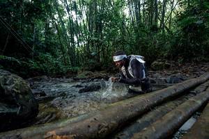 BIB: 
                            <button type="button" onclick="openModal(26427066)" class="btn btn-primary btn-sm float-right btn-popup" data-toggle="modal" data-target=".modal-high-quality">
                        <i class="fas fa-shopping-cart"></i> Add to Cart
                    </button>
                                            <button type="button" onclick="isThisMe(26427066, true)" class="btn btn-success btn-sm float-right btn-popup btn-isme hidden" data-toggle="tooltip" data-placement="bottom" title="นี่คือรูปของคุณใช่ไหม คลิกที่นี่เพื่อเอาเข้าอัลบั้ม">
                        <i class="fas fa-plus"></i> Add to album
                    </button>
                    <button type="button" onclick="isThisMe(26427066, false)" class="btn btn-warning btn-sm float-right btn-popup btn-isnotme hidden">
                        <i class="fas fa-ban"></i> Remove from album
                    </button>