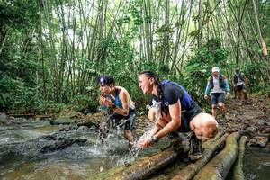 BIB: 
                            <button type="button" onclick="openModal(26432661)" class="btn btn-primary btn-sm float-right btn-popup" data-toggle="modal" data-target=".modal-high-quality">
                        <i class="fas fa-shopping-cart"></i> Add to Cart
                    </button>
                                            <button type="button" onclick="isThisMe(26432661, true)" class="btn btn-success btn-sm float-right btn-popup btn-isme hidden" data-toggle="tooltip" data-placement="bottom" title="นี่คือรูปของคุณใช่ไหม คลิกที่นี่เพื่อเอาเข้าอัลบั้ม">
                        <i class="fas fa-plus"></i> Add to album
                    </button>
                    <button type="button" onclick="isThisMe(26432661, false)" class="btn btn-warning btn-sm float-right btn-popup btn-isnotme hidden">
                        <i class="fas fa-ban"></i> Remove from album
                    </button>