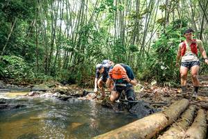 BIB: 
                            <button type="button" onclick="openModal(26444002)" class="btn btn-primary btn-sm float-right btn-popup" data-toggle="modal" data-target=".modal-high-quality">
                        <i class="fas fa-shopping-cart"></i> Add to Cart
                    </button>
                                            <button type="button" onclick="isThisMe(26444002, true)" class="btn btn-success btn-sm float-right btn-popup btn-isme hidden" data-toggle="tooltip" data-placement="bottom" title="นี่คือรูปของคุณใช่ไหม คลิกที่นี่เพื่อเอาเข้าอัลบั้ม">
                        <i class="fas fa-plus"></i> Add to album
                    </button>
                    <button type="button" onclick="isThisMe(26444002, false)" class="btn btn-warning btn-sm float-right btn-popup btn-isnotme hidden">
                        <i class="fas fa-ban"></i> Remove from album
                    </button>