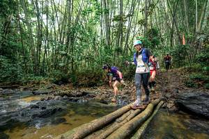 BIB: 
                            <button type="button" onclick="openModal(26452225)" class="btn btn-primary btn-sm float-right btn-popup" data-toggle="modal" data-target=".modal-high-quality">
                        <i class="fas fa-shopping-cart"></i> Add to Cart
                    </button>
                                            <button type="button" onclick="isThisMe(26452225, true)" class="btn btn-success btn-sm float-right btn-popup btn-isme hidden" data-toggle="tooltip" data-placement="bottom" title="นี่คือรูปของคุณใช่ไหม คลิกที่นี่เพื่อเอาเข้าอัลบั้ม">
                        <i class="fas fa-plus"></i> Add to album
                    </button>
                    <button type="button" onclick="isThisMe(26452225, false)" class="btn btn-warning btn-sm float-right btn-popup btn-isnotme hidden">
                        <i class="fas fa-ban"></i> Remove from album
                    </button>