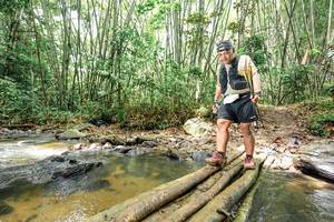 BIB: 
                            <button type="button" onclick="openModal(26449472)" class="btn btn-primary btn-sm float-right btn-popup" data-toggle="modal" data-target=".modal-high-quality">
                        <i class="fas fa-shopping-cart"></i> Add to Cart
                    </button>
                                            <button type="button" onclick="isThisMe(26449472, true)" class="btn btn-success btn-sm float-right btn-popup btn-isme hidden" data-toggle="tooltip" data-placement="bottom" title="นี่คือรูปของคุณใช่ไหม คลิกที่นี่เพื่อเอาเข้าอัลบั้ม">
                        <i class="fas fa-plus"></i> Add to album
                    </button>
                    <button type="button" onclick="isThisMe(26449472, false)" class="btn btn-warning btn-sm float-right btn-popup btn-isnotme hidden">
                        <i class="fas fa-ban"></i> Remove from album
                    </button>